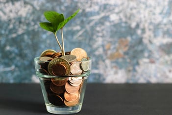 little-tree-growing-in-pile-of-money