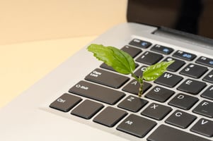 sustainable IT best practices for business growth sustainability and IT